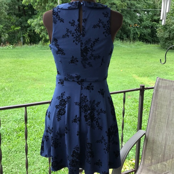 Lauren Conrad 🌹 dress velour Raised appliqué. - Picture 2 of 8